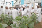 Local Omani farmers benefit from new initiative